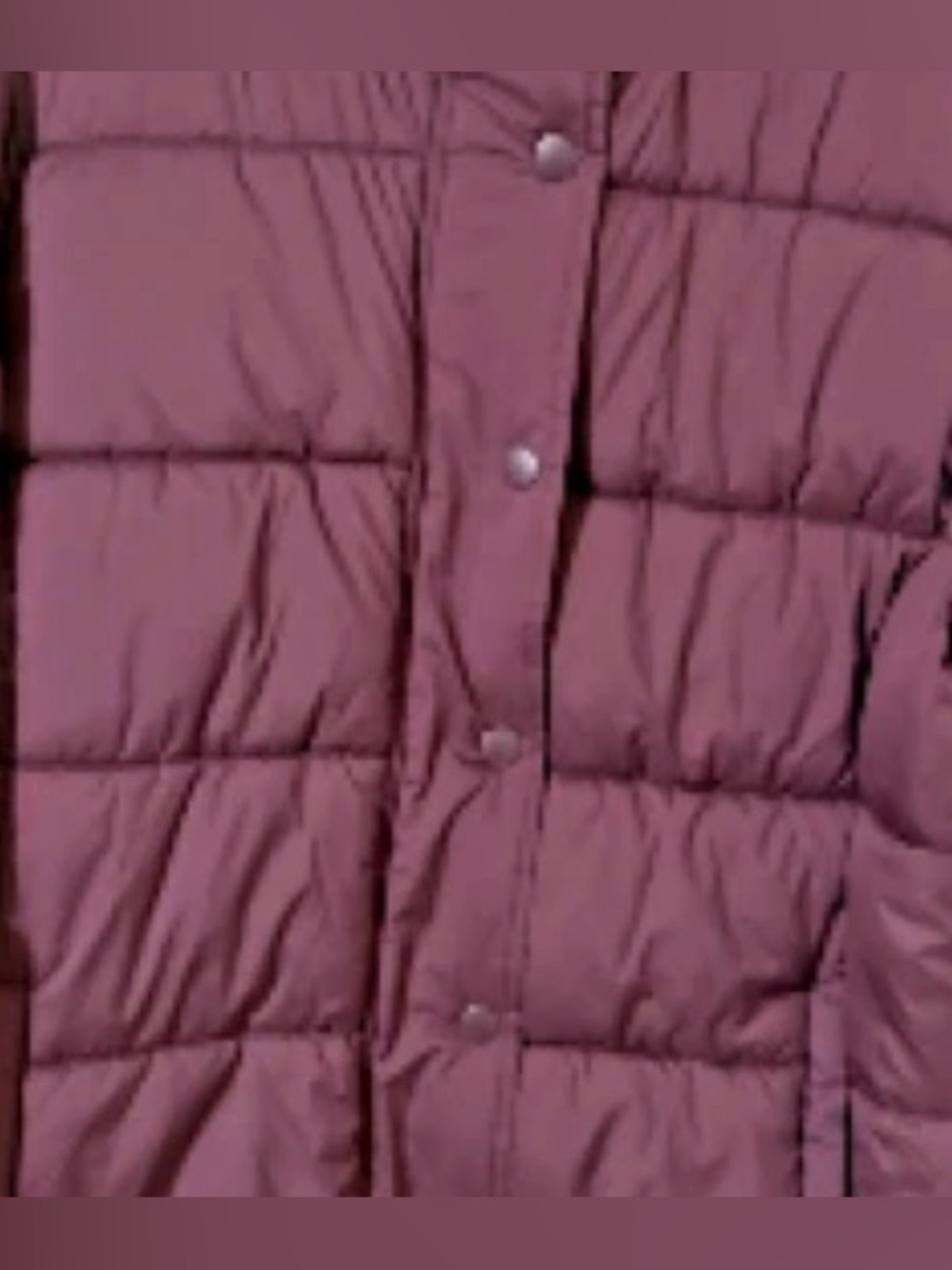 Women's Burgundy Wine Hooded Puffer Coat XXL Maurices